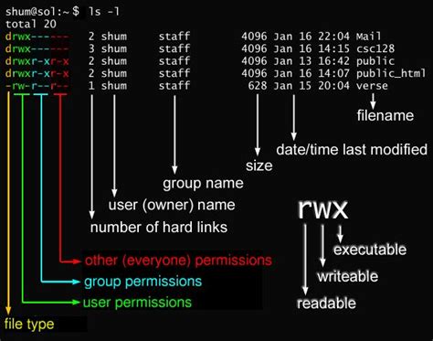 chmod 660 meaning|Linux .